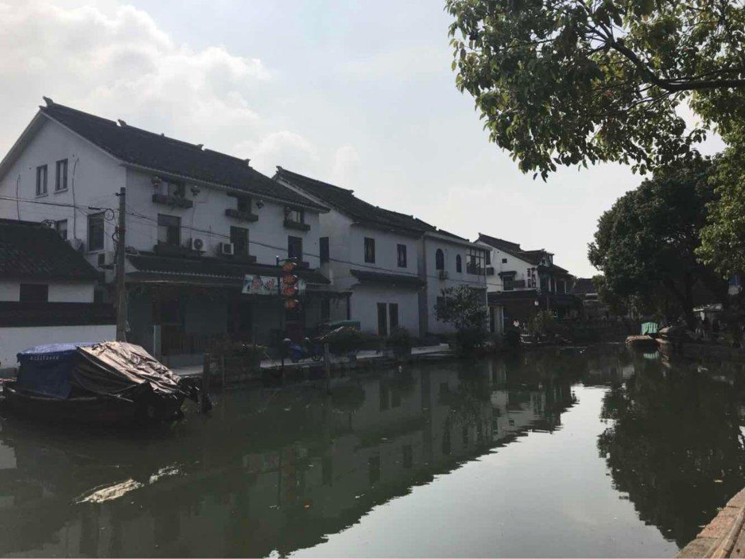 组装机械机甲暴龙2
